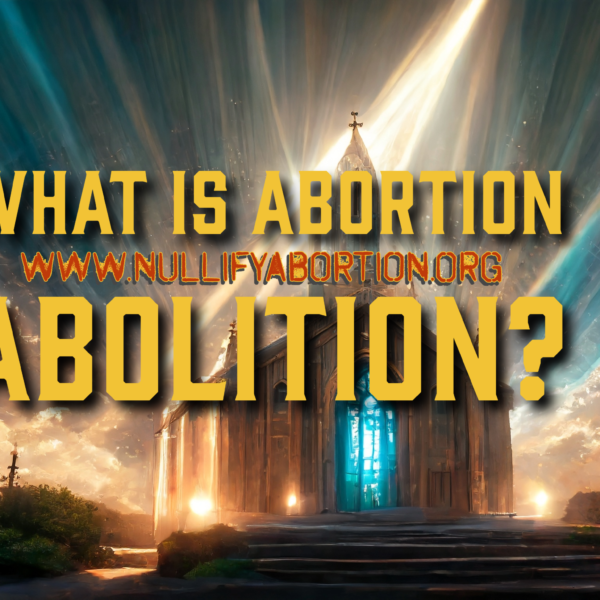 What is abortion abolition?