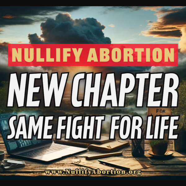 A serene yet determined grassroots movement scene with a laptop, handmade protest signs, Christian iconography, and a sunrise symbolizing hope and new beginnings.